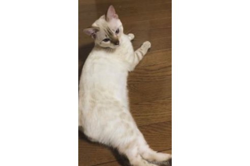 アーサー（ドラえもん）くん1枚目
