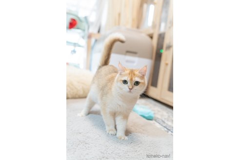 ちゃん1枚目