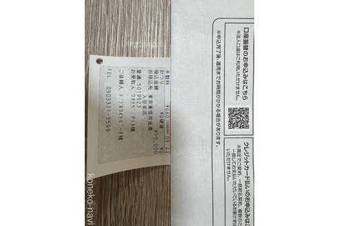 成約済の千葉県のマンチカン-80716の2枚目