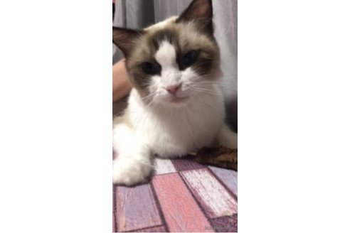 さくら🌸ちゃん1枚目