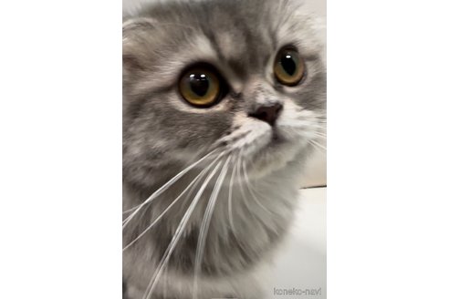 フワリちゃん1枚目