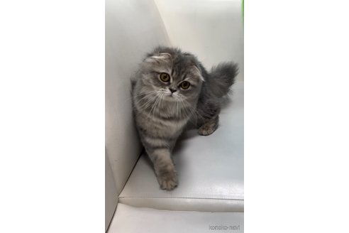 フワリちゃん1枚目