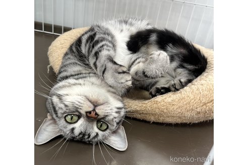 大和くん1枚目