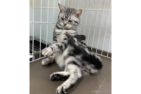 大和くん1枚目