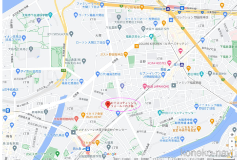成約済の大阪府のスコティッシュフォールド-83974の4枚目
