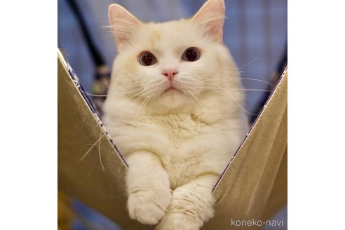 ぽんずくん1枚目