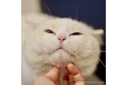 ぽんずくん1枚目