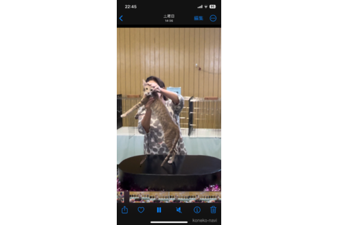 ちゃん1枚目