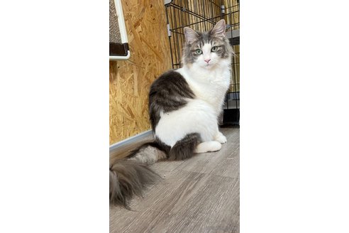 ちゃん1枚目
