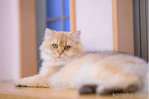 壮くん1枚目