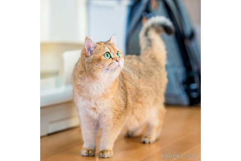 ちゃん1枚目