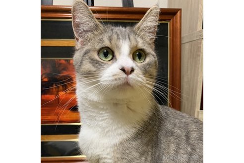ラムちゃん1枚目
