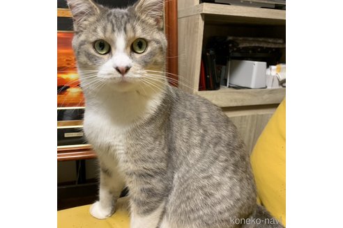 ラムちゃん1枚目