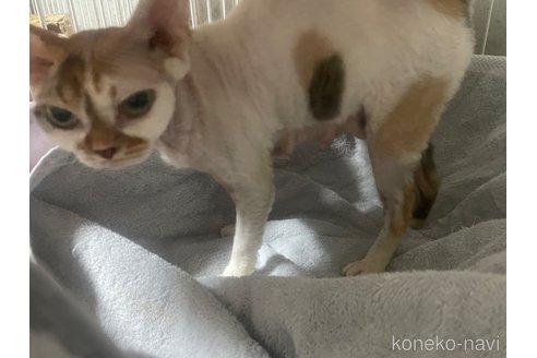 ちゃん1枚目