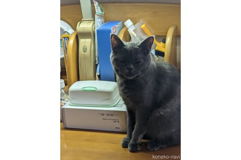 ふーちゃんちゃん1枚目