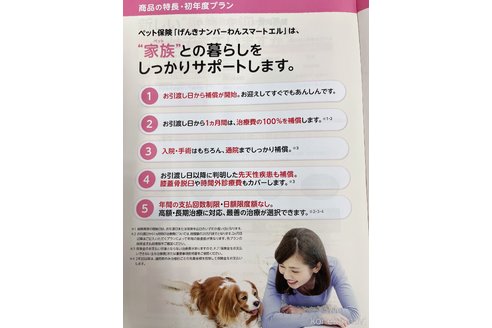 成約済の埼玉県のサイベリアン-82063の7枚目