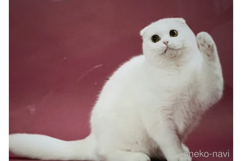 ビビアンちゃん1枚目