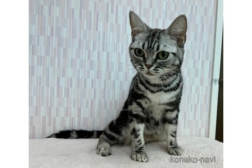 あんずちゃん1枚目