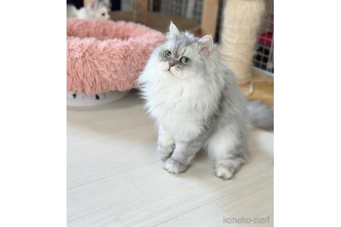 そらくん1枚目