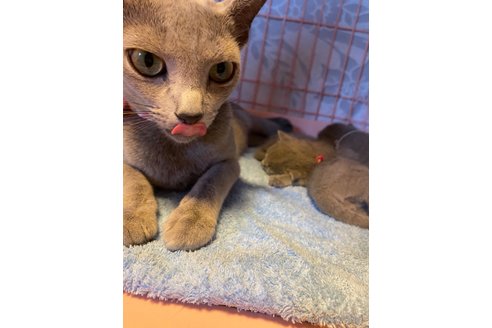 くるみちゃん1枚目