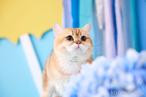 LEOくん1枚目