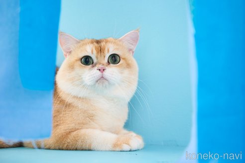 テオくん1枚目