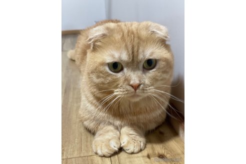 くん1枚目