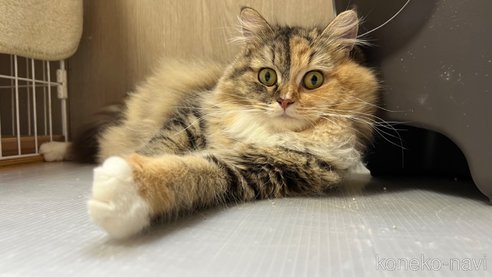 ちゃん1枚目
