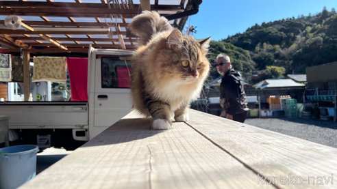ちゃん1枚目