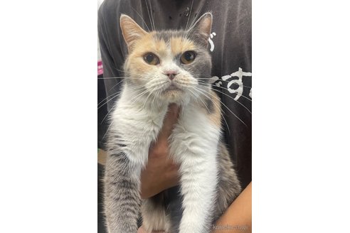ふぎんちゃん1枚目
