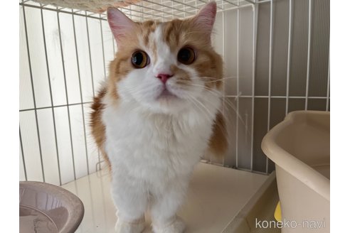 ラミーちゃん1枚目