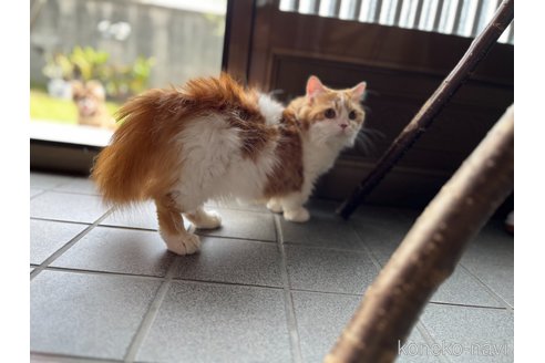 ラミーちゃん1枚目
