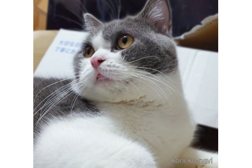 どらちゃんくん1枚目