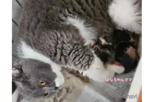 はなちゃん1枚目