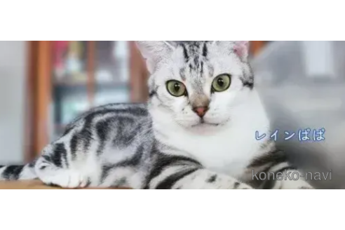 レインくん1枚目