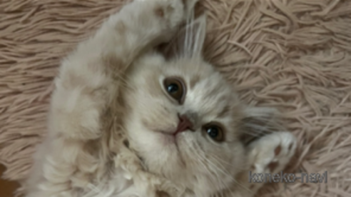 たたくん1枚目