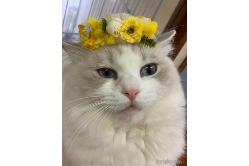 ちゃん1枚目