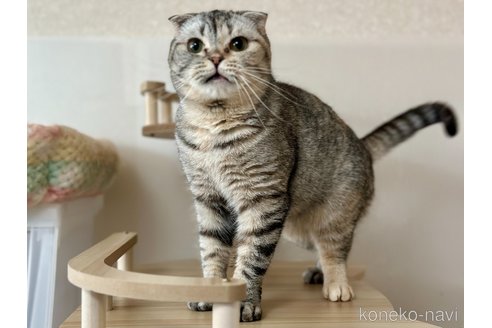 ちゃん1枚目