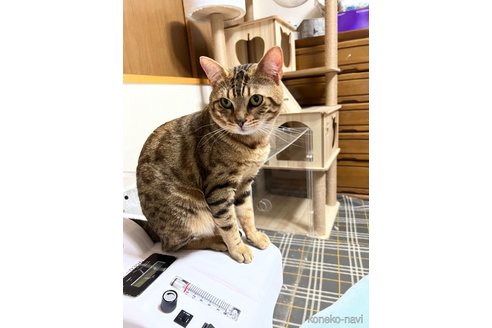 くん1枚目