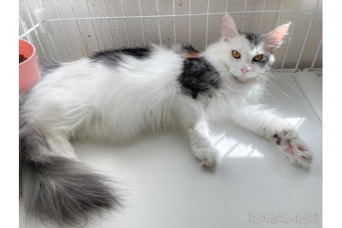 しずくちゃん1枚目