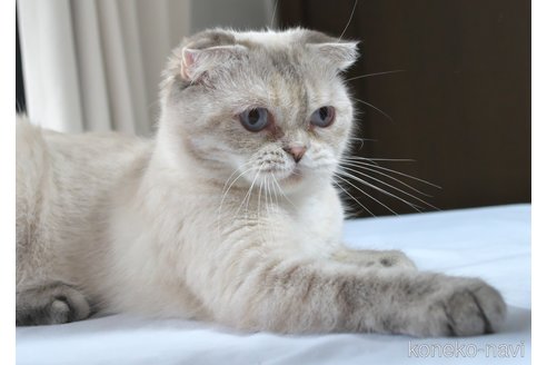 クララちゃん1枚目