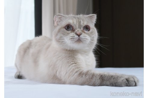 クララちゃん1枚目