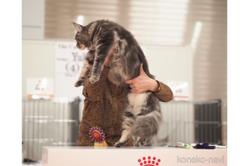 そらちゃん1枚目