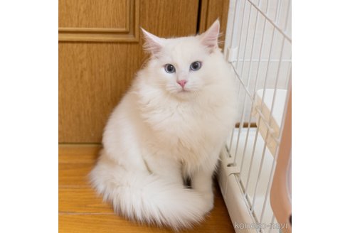 ちゃん1枚目