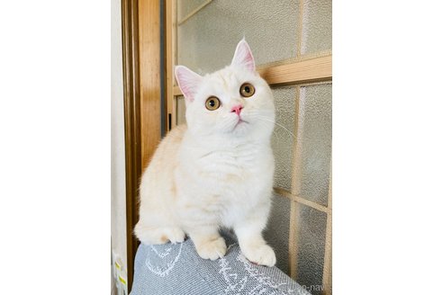 ネゴくん1枚目