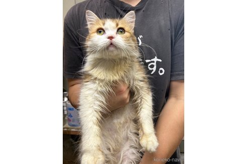 ちゃん1枚目