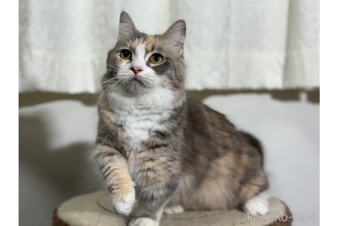 ウーノちゃん1枚目