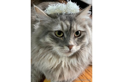 ちゃん1枚目