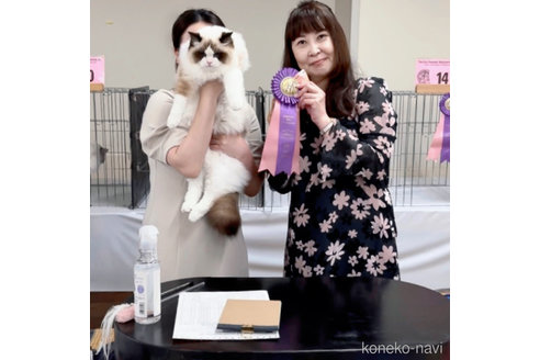 財財くん1枚目