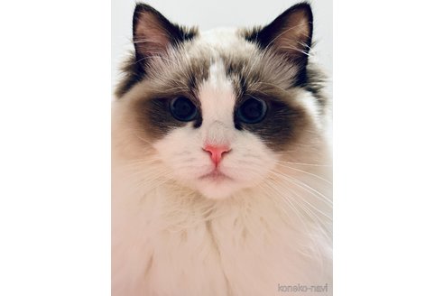 ONONちゃん1枚目